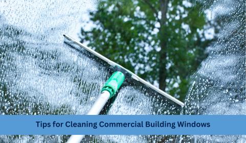 Professional commercial window cleaning using a squeegee to clean large building windows